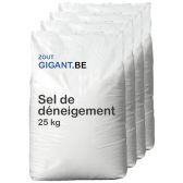 Sel de déneigement 40x 25kg Sel de déneigement 40x 25kg